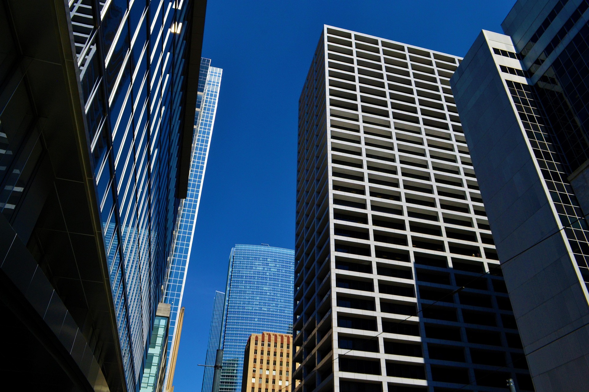 Civic leadership in Texas